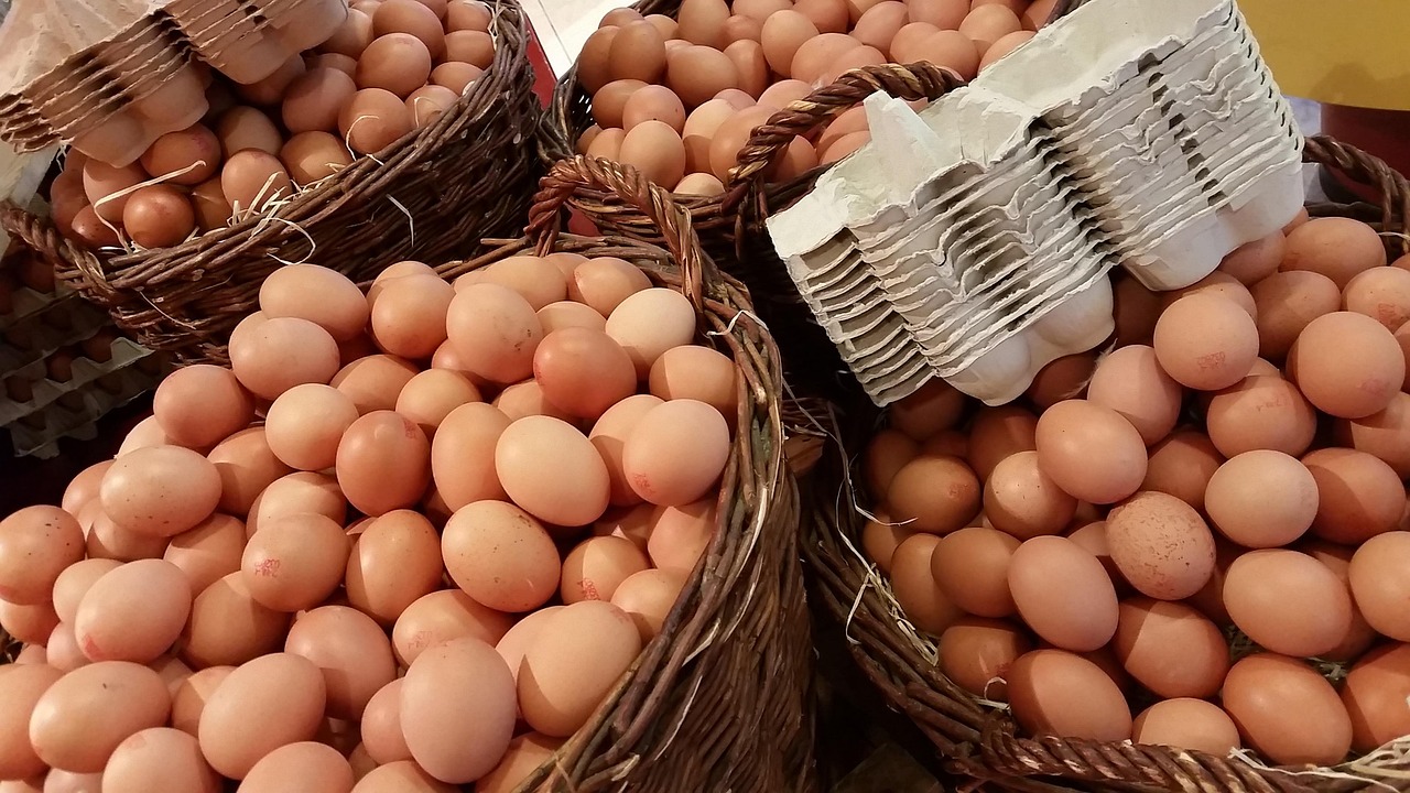 “Don’t Put All Your Eggs in One Basket” – Diversification in the Stock Market