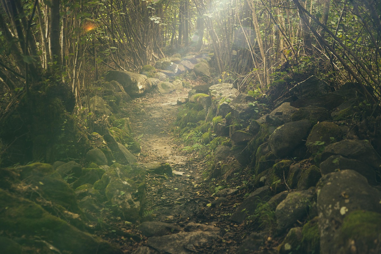My Path to Financial Freedom